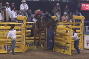 Air Force Report: Rodeo Honor