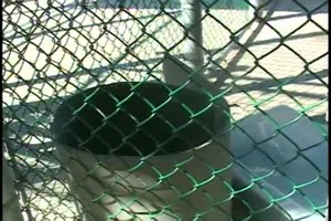 JTF Guantanamo Camp V and VI