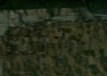 Splash Into the New Years