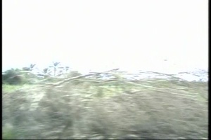 Pam Elliot Balad Footage