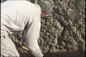 Seabees Build Head - Package