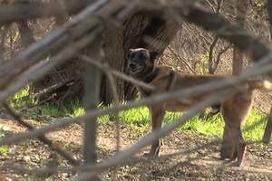 Desert Warrior - Feb. 28