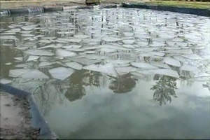 Air Force Report: Water Purification
