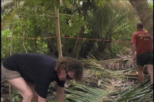 Daily News Update: Barton Point Restoration Project