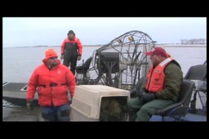 Responders Evacuate Two from Flood Surrounded House