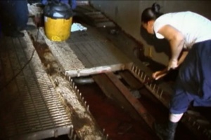 Daily News Update: Bataan Crew Gives Ship Agricultural Wash Down