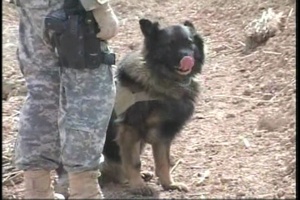 Iraqi Federal Police Patrolling Near Baghdad