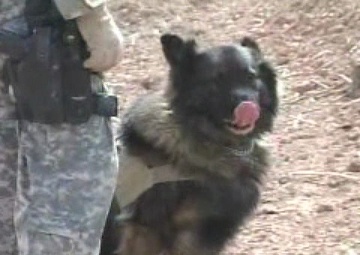 Iraqi Federal Police Patrolling Near Baghdad