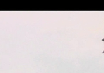 Daily News Update: Green Hornet