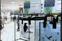 Daily News Update: Reusable Grocery Bags Save Money