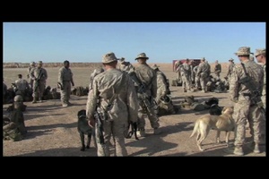 U.S. Marines Battle Sight Zero (BZO) Their Weapons, Part 1