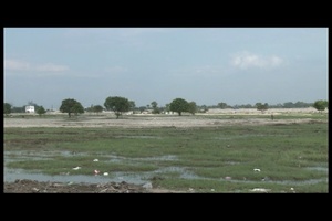 Haiti's Internally Displaced Persons Camp