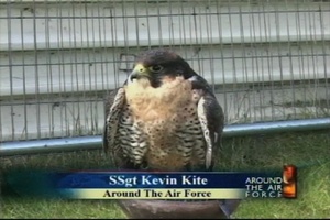 Around the Air Force - May 17