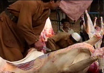 Freedom File - May 21