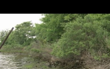 Scuffletown Creek Wetlands Restoration Project