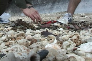 Beach Clean Up
