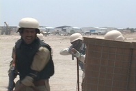 Danger Edition Week 14