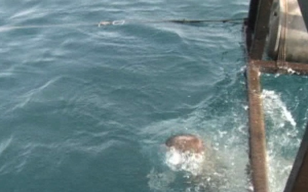 U.S. Navy Midshipmen and U.S. Army Cadets Visit French Foreign Legion’s Com