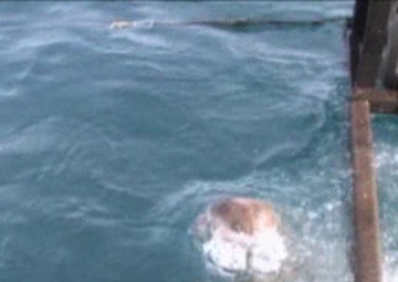 Daily News Update: Training with the French Foreign Legion