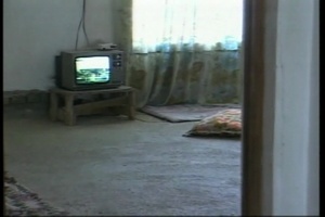 Fallujah Footage