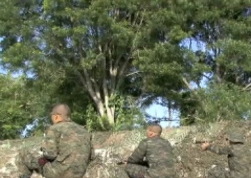 Fuerzas Comando 2010 Validation