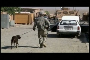 Army Pathfinders Investigate Potential Taliban Activity - Package, Short