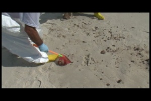First Response to Oil on Pensacola Beach, Part 2