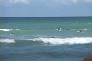 Daily News Update: Hawaii Military Surfing Championship