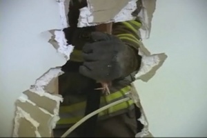 Fire Fighters, Part 2