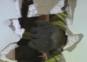 Fire Fighters, Part 2