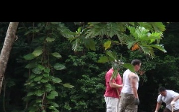 Sailors Remove Invasive Plant Life