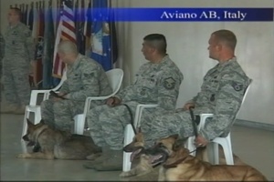 Air Force Report: MWD Retirement