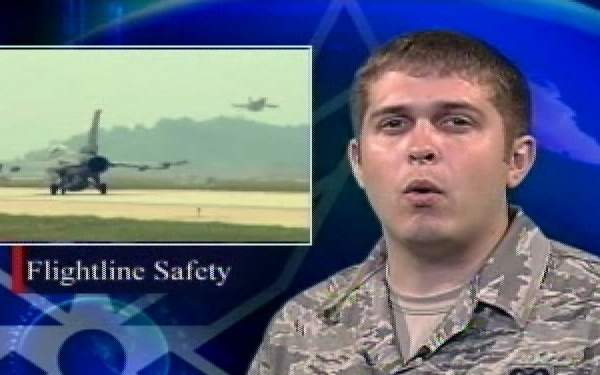 Air Force Report: Flightline Birds