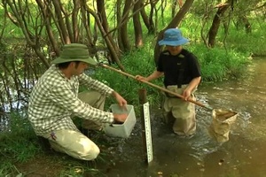 Two Minute Report: DUG Range Wetland