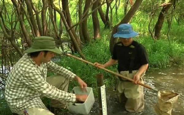 Two Minute Report: DUG Range Wetland