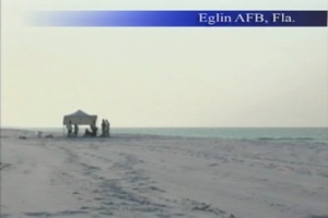 Air Force News: Sea Turtles