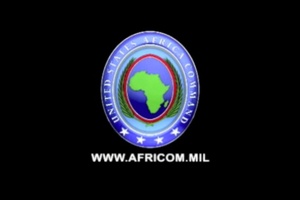 Africa Endeavor 2010