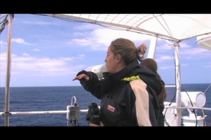 Protecting Marine Mammals, Part 2, IT Master