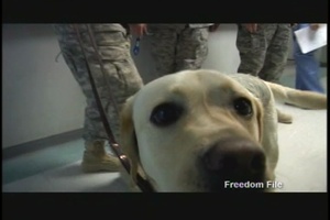 Freedom File - Aug 27