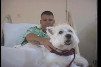 Pet Helps Soldiers Smile