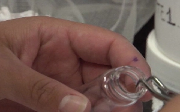 Preventive Med Looks for Malaria - Prime Cuts