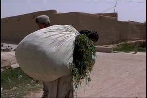Marine Officer Helps Soldiers Connect with Afghans, Short Package