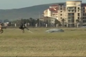 Para-Rescuers do Demonstration Jump