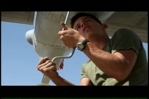 Tear the Bird Down