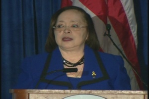 Ms. Young at  AUSA Panel Discussion