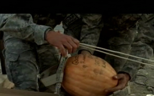 Freedom File -  Nov. 24