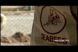 Freedom File - Nov. 24