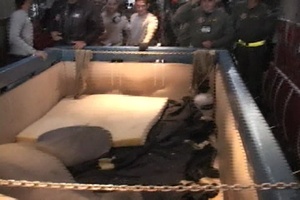 Receiving an Injured Manatee, Part 2