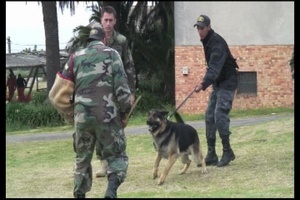 MCAST Sends Top Navy Dog Handlers to Share Latest Training Methods with Uruguayan Peacekeepers