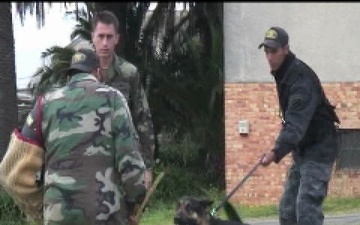 MCAST Sends Top Navy Dog Handlers to Share Latest Training Methods with Uruguayan Peacekeepers